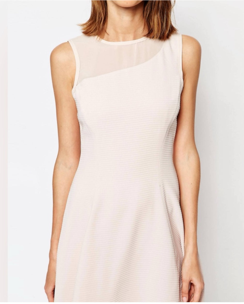 REISS Verde Drop Waist Pink Sleeveless Dress with Sheer Insert Size 4 $360