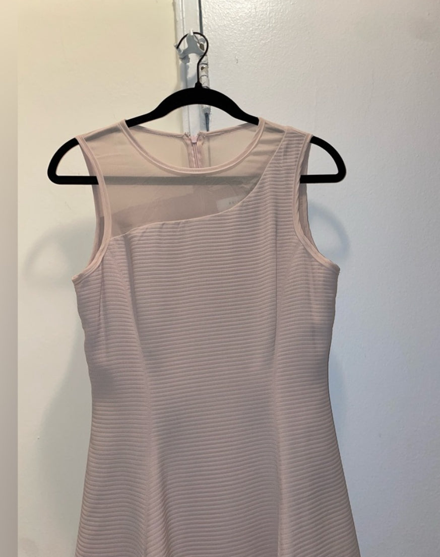 REISS Verde Drop Waist Pink Sleeveless Dress with Sheer Insert Size 4 $360