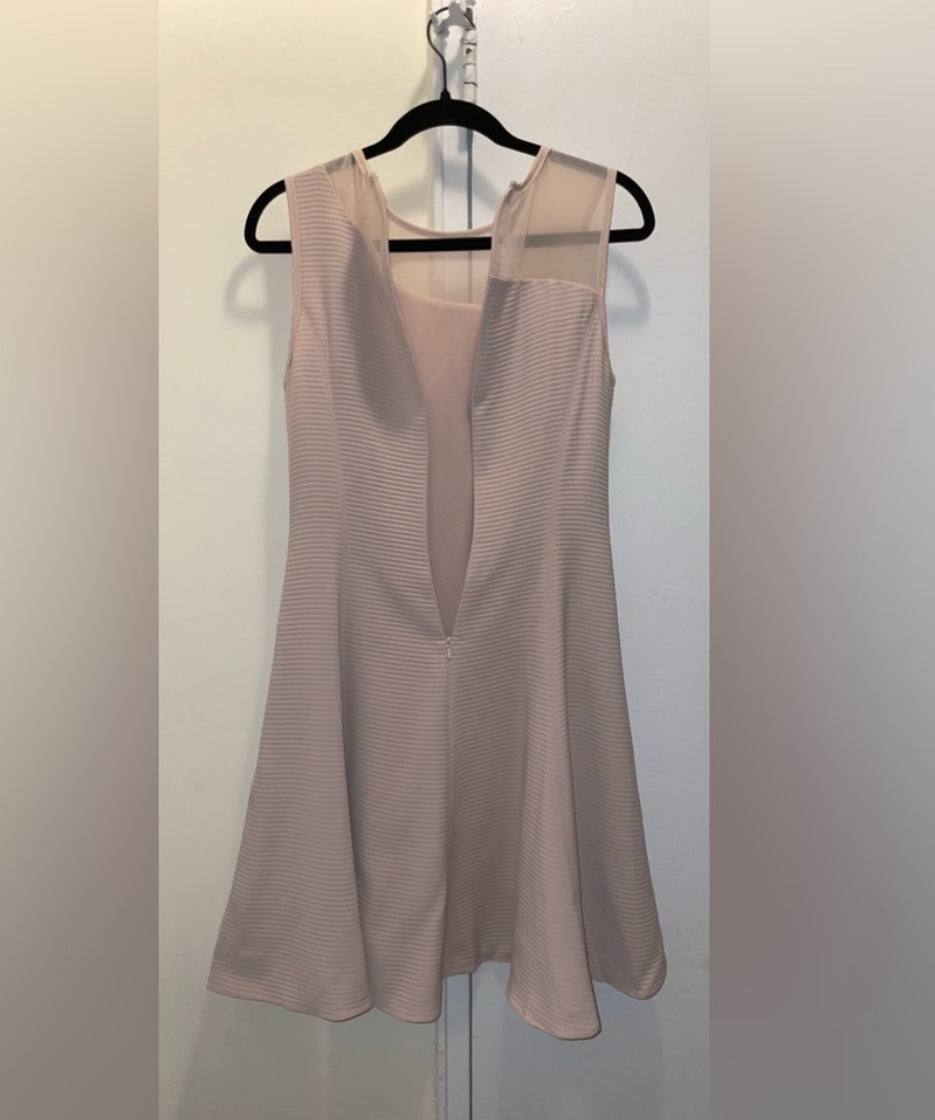 REISS Verde Drop Waist Pink Sleeveless Dress with Sheer Insert Size 4 $360