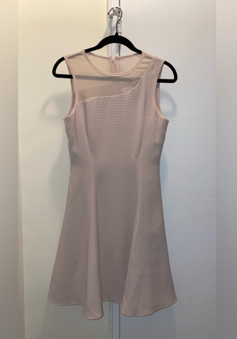 REISS Verde Drop Waist Pink Sleeveless Dress with Sheer Insert Size 4 $360