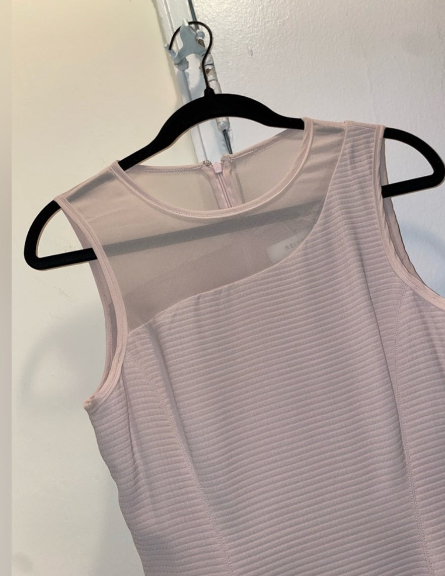 REISS Verde Drop Waist Pink Sleeveless Dress with Sheer Insert Size 4 $360