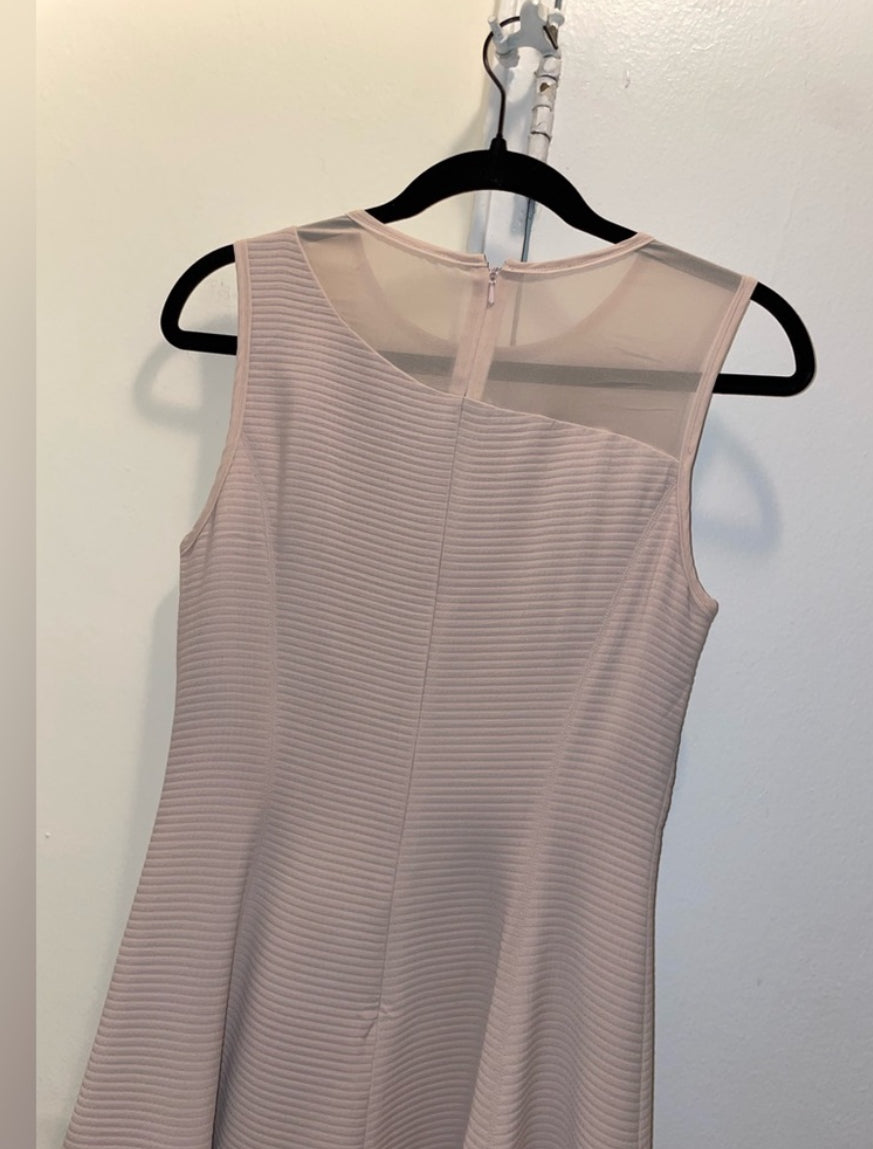 REISS Verde Drop Waist Pink Sleeveless Dress with Sheer Insert Size 4 $360