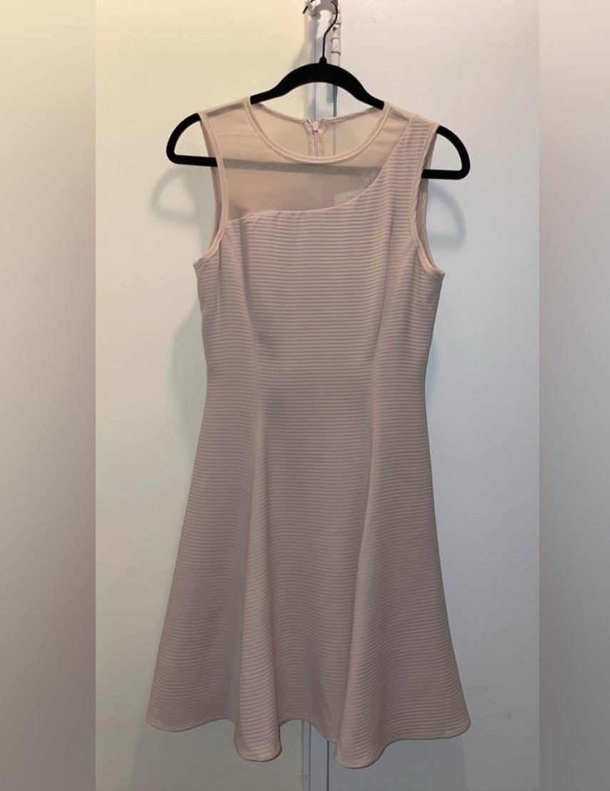 REISS Verde Drop Waist Pink Sleeveless Dress with Sheer Insert Size 4 $360