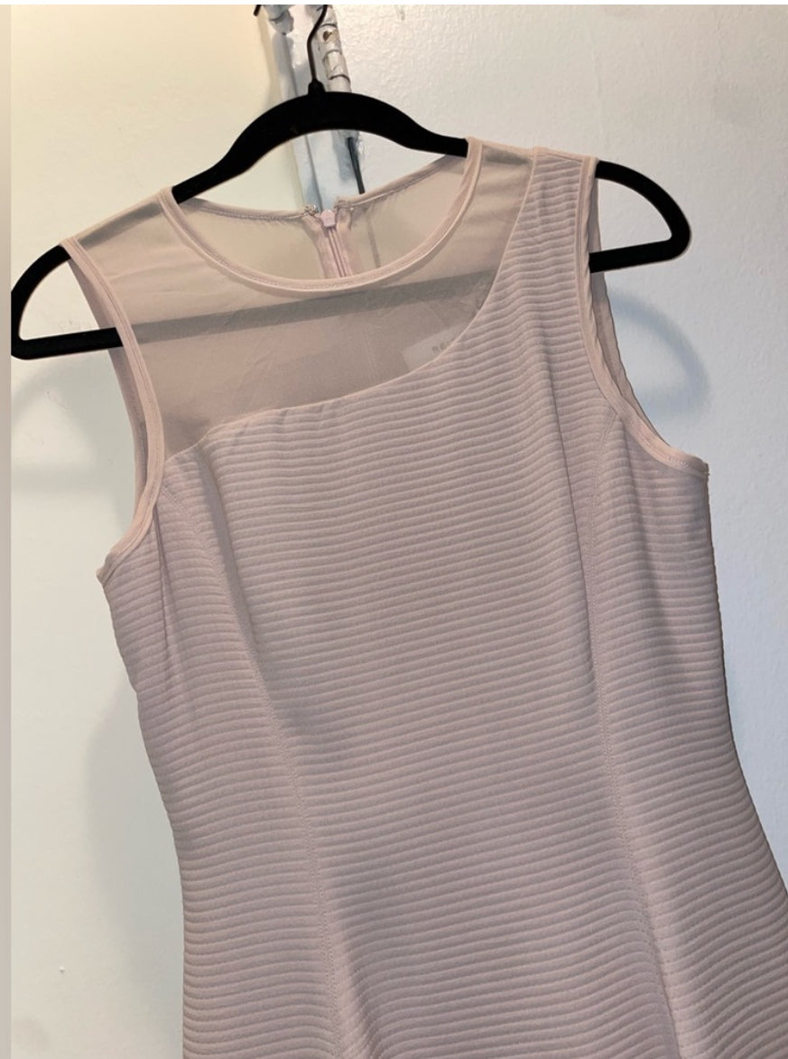 REISS Verde Drop Waist Pink Sleeveless Dress with Sheer Insert Size 4 $360