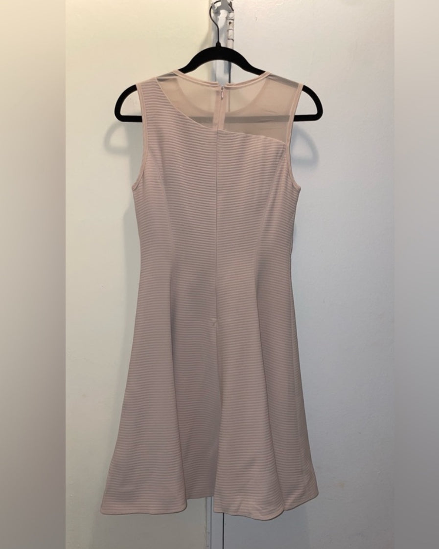 REISS Verde Drop Waist Pink Sleeveless Dress with Sheer Insert Size 4 $360