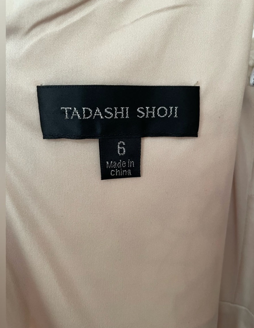 Tadashi Shoji Crochet Bodice Lace Gown Formal Dress Illusion Neckline Size 6